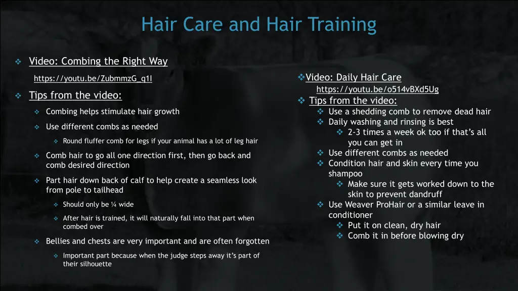 hair care and hair training
