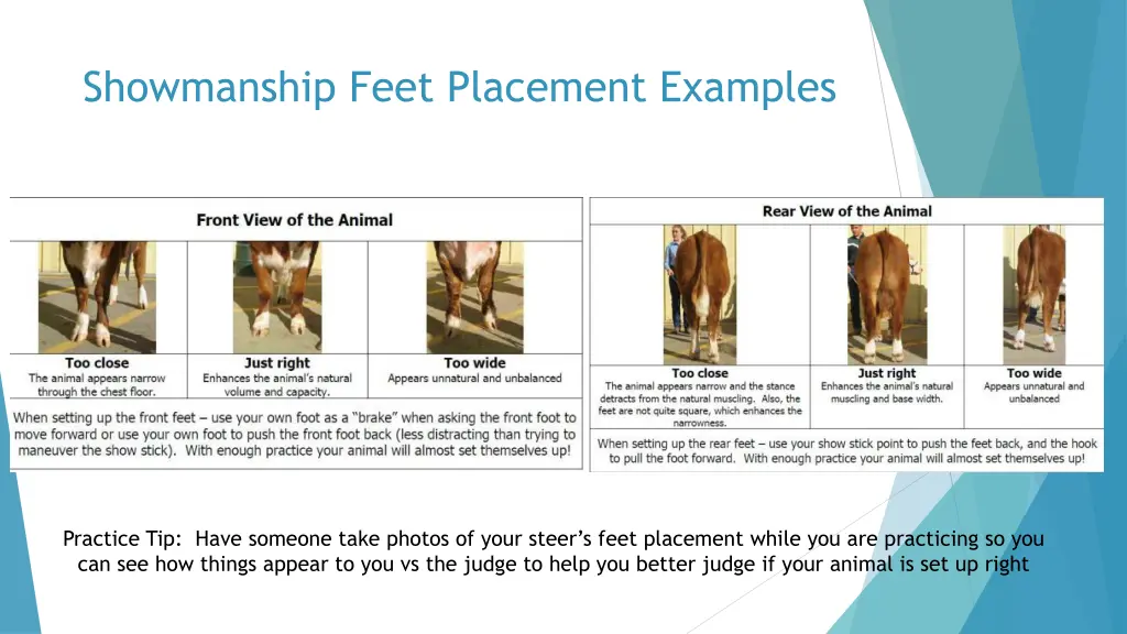 showmanship feet placement examples