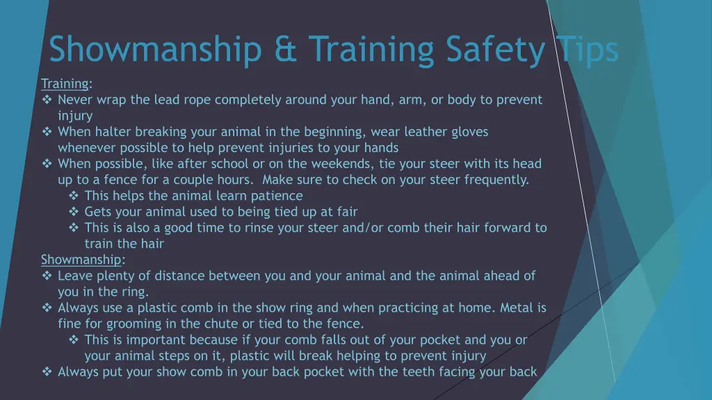 showmanship training safety tips training never