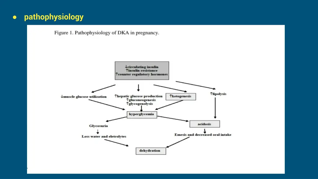 pathophysiology 2