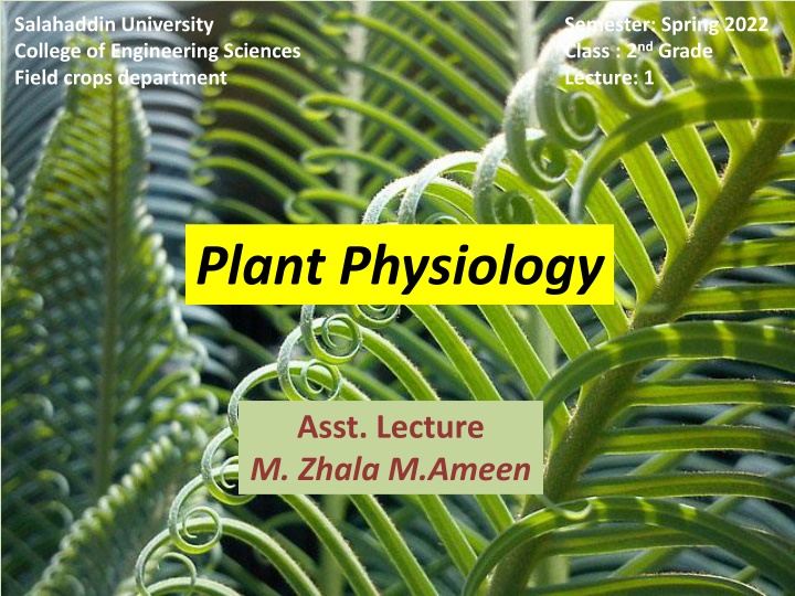 salahaddin university college of engineering