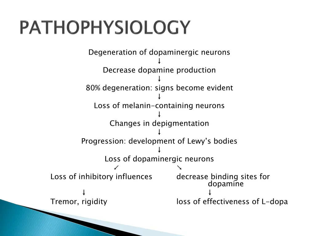 degeneration of dopaminergic neurons decrease