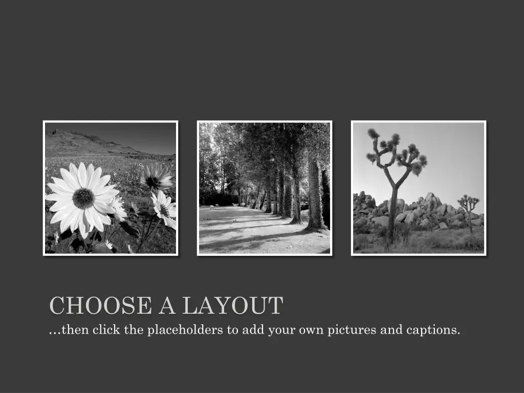 choose a layout then click the placeholders