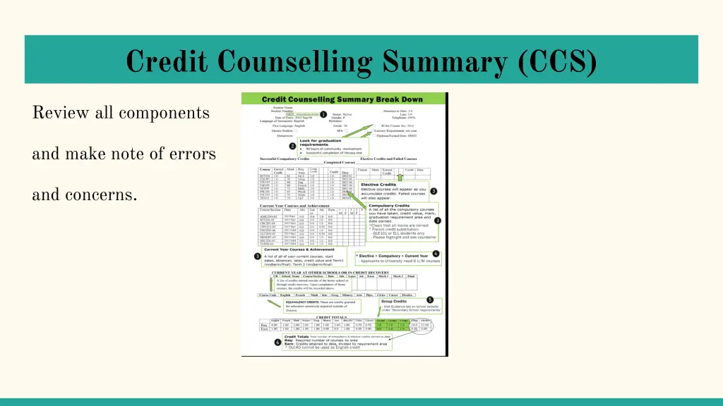 credit counselling summary ccs