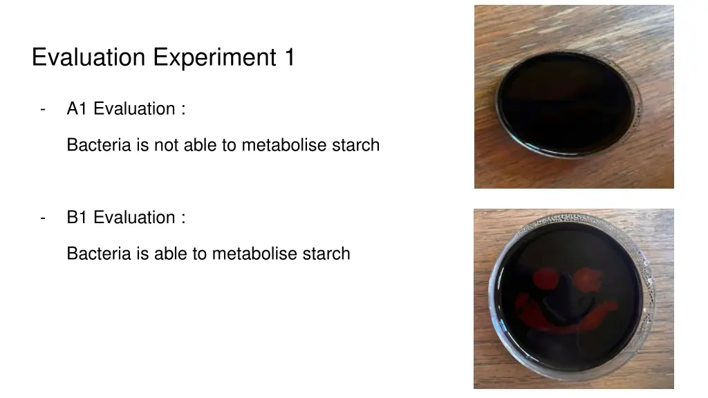 evaluation experiment 1