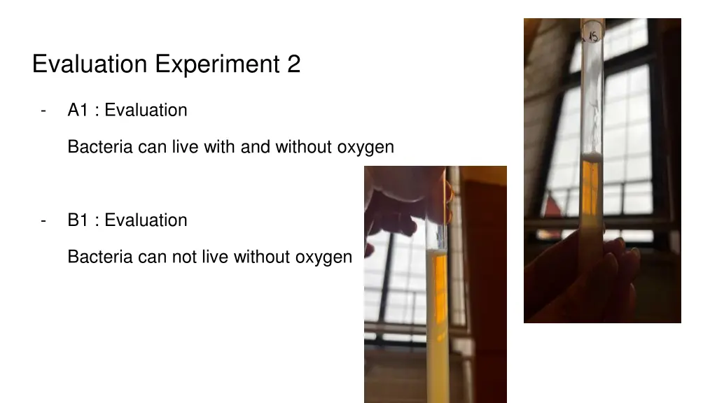 evaluation experiment 2