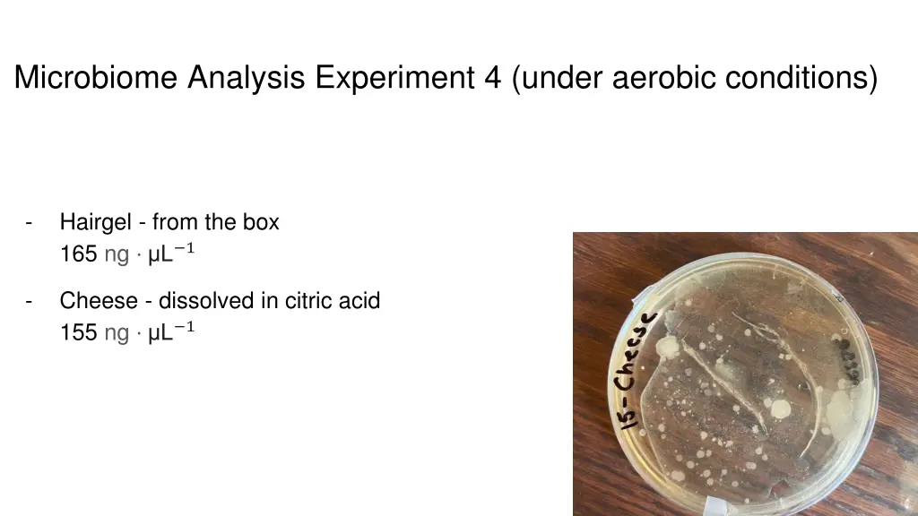 microbiome analysis experiment 4 under aerobic