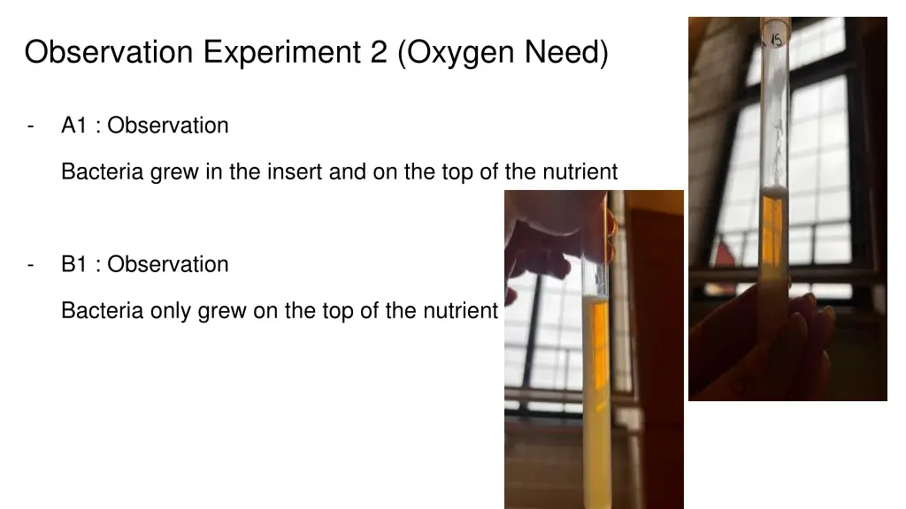 observation experiment 2 oxygen need