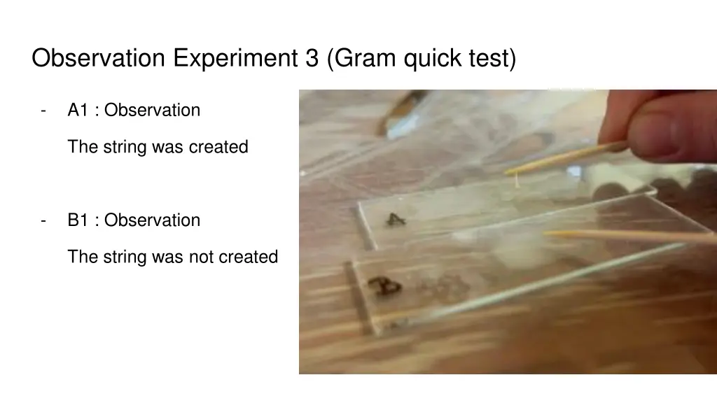 observation experiment 3 gram quick test