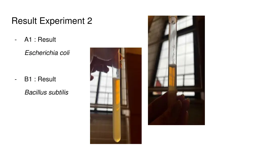 result experiment 2