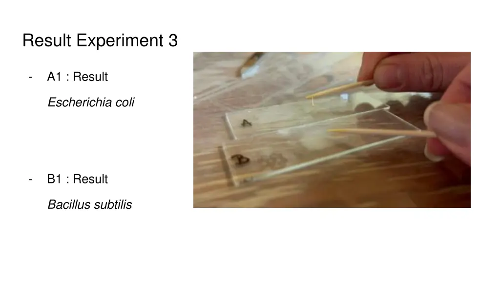 result experiment 3