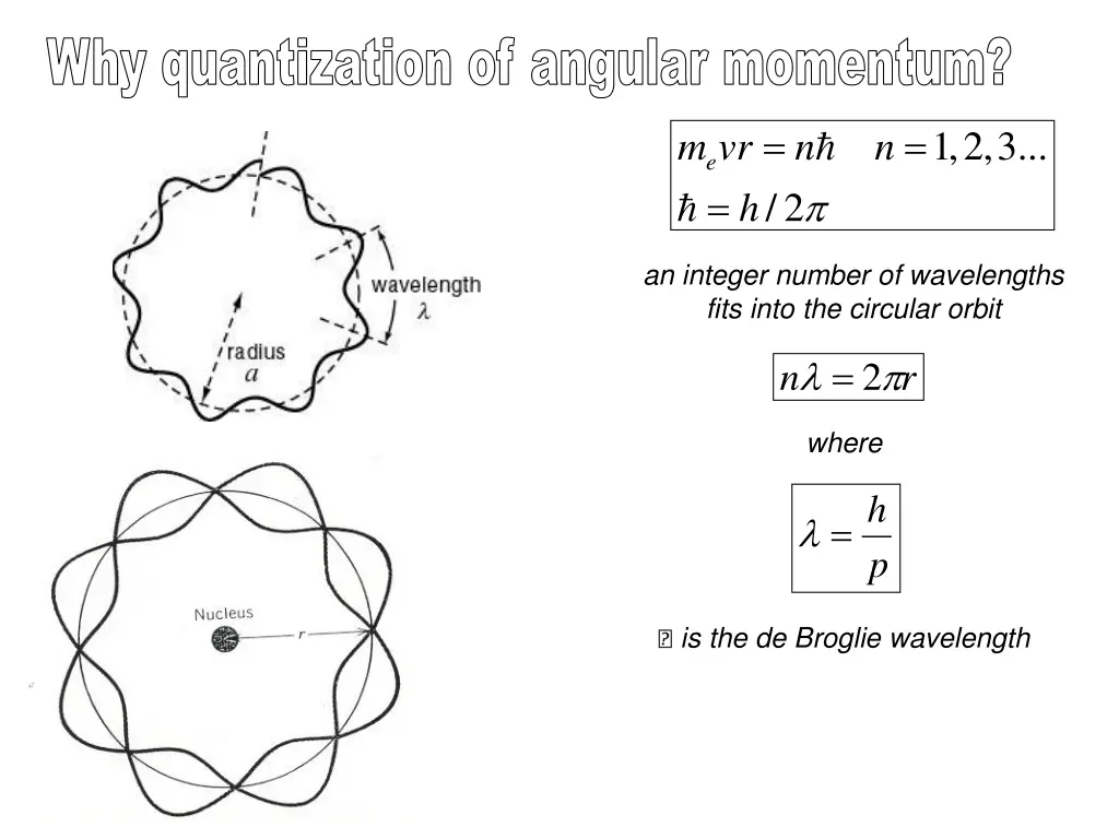 why quantization of angular momentum