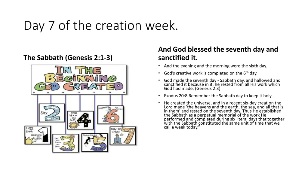 day 7 of the creation week