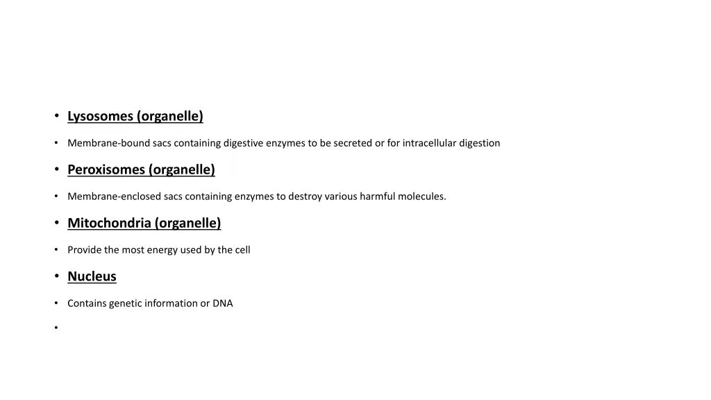 lysosomes organelle