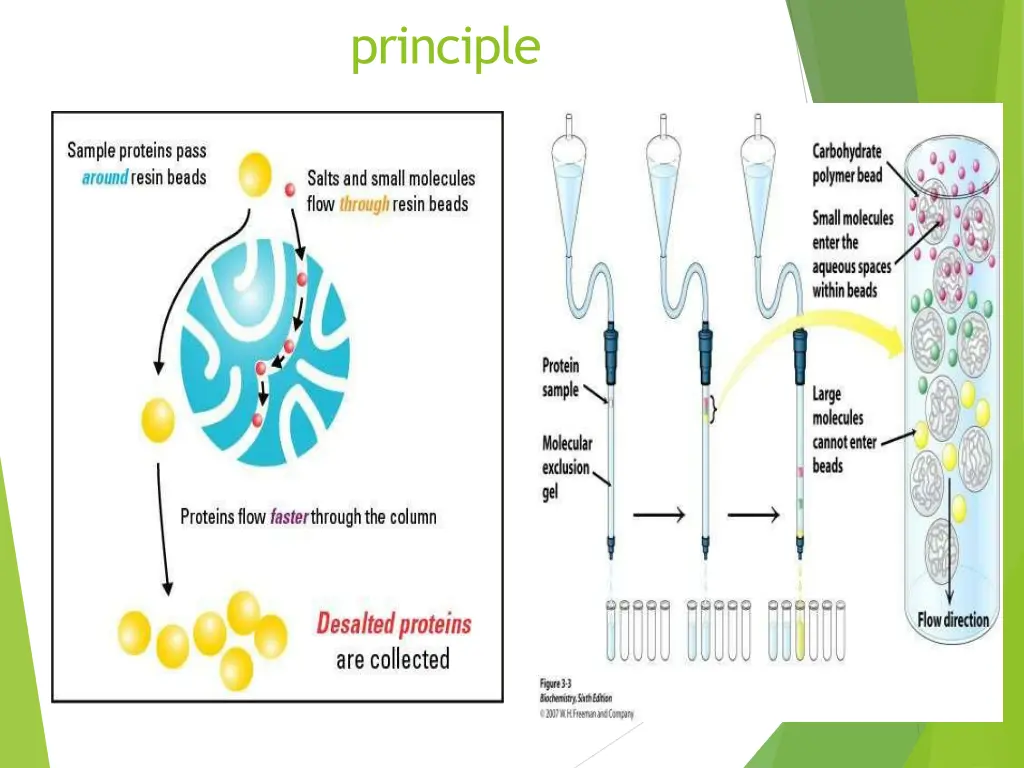 principle