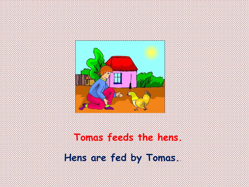 tomas feeds the hens