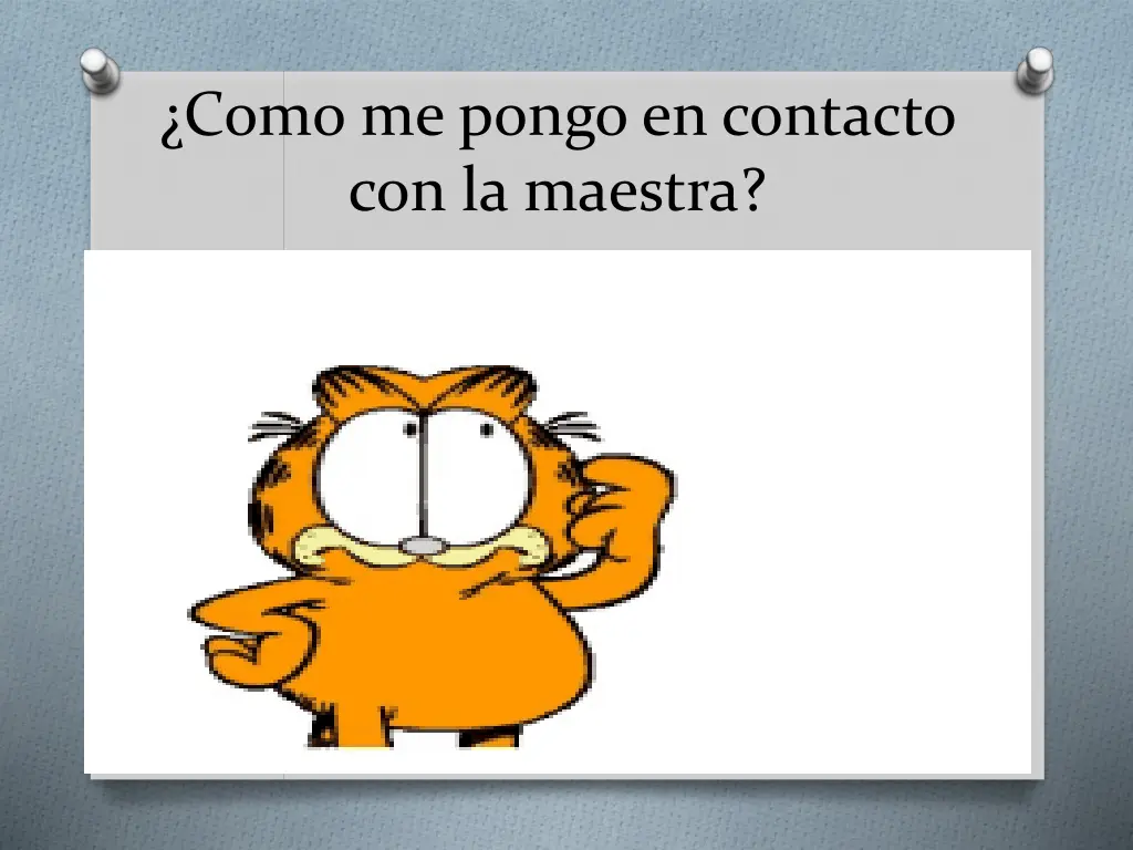 como me pongo en contacto con la maestra
