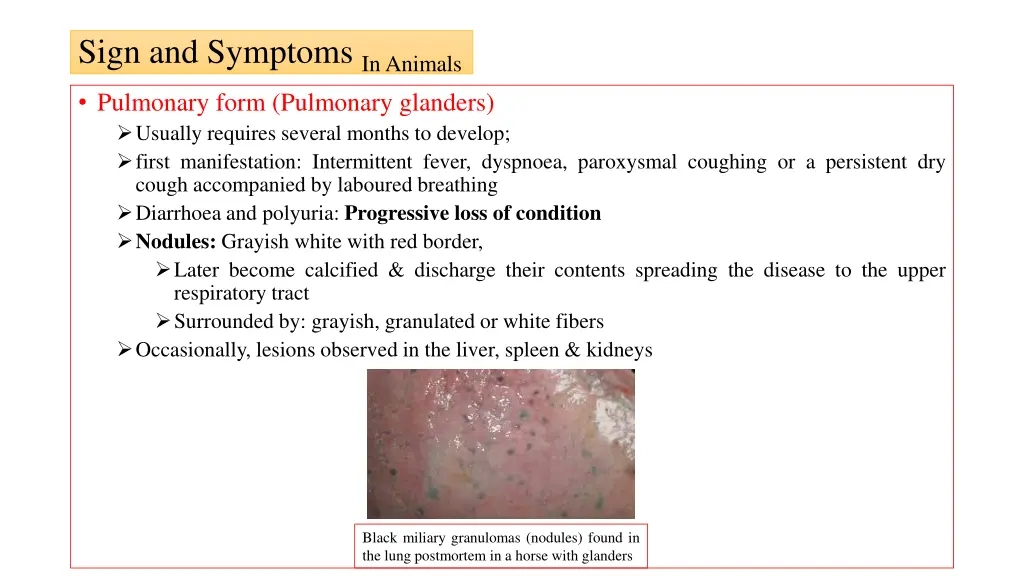 sign and symptoms in animals 1