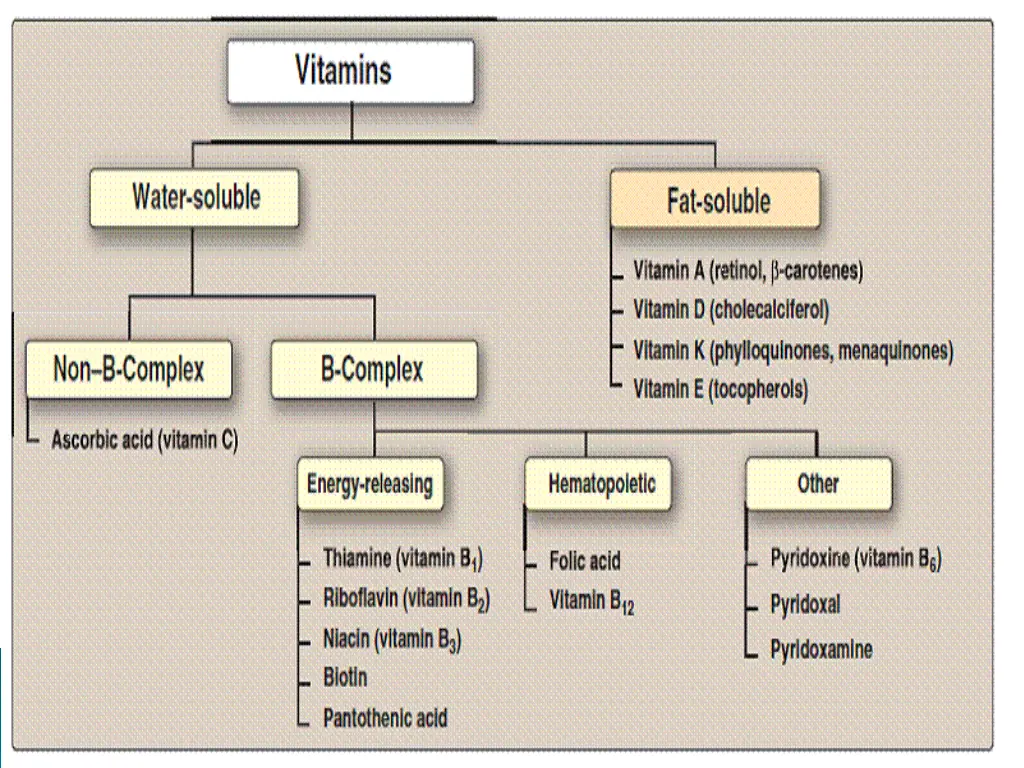 slide3
