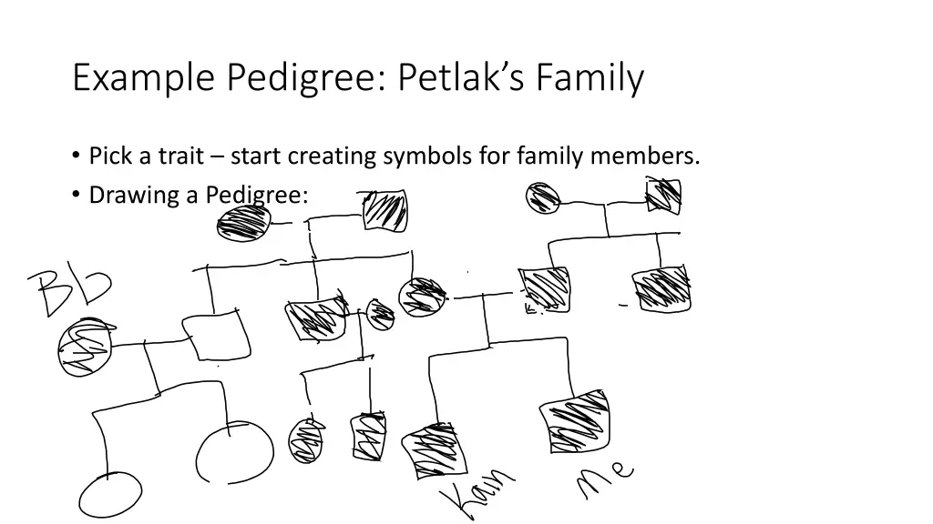 example pedigree petlak s family 1