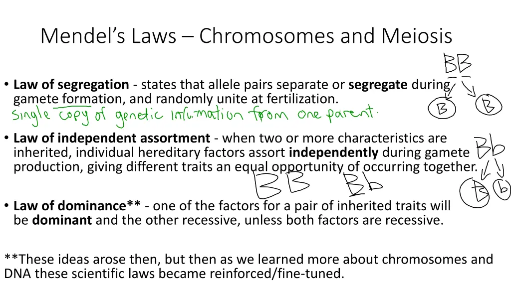 mendel s laws chromosomes and meiosis 1