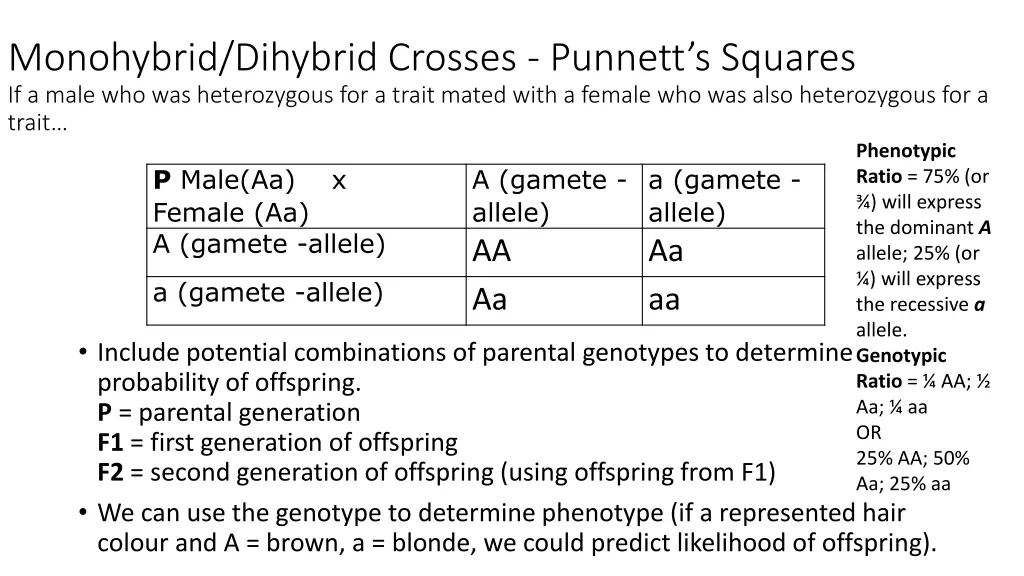 monohybrid dihybrid crosses punnett s squares 1