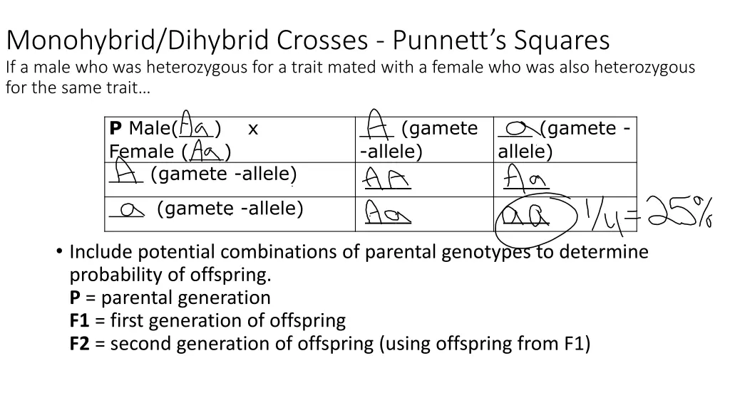 monohybrid dihybrid crosses punnett s squares