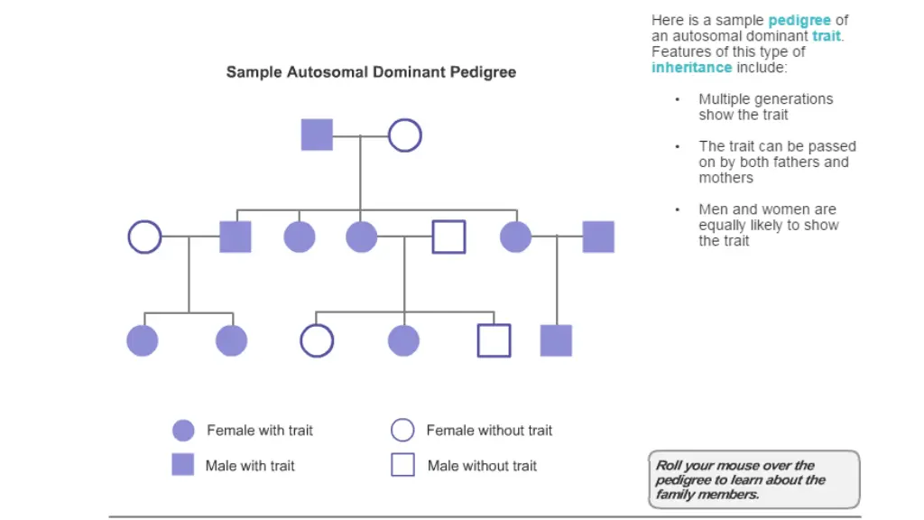 slide11