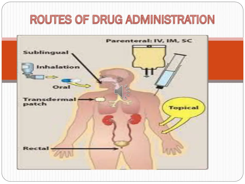 routes of drug administration