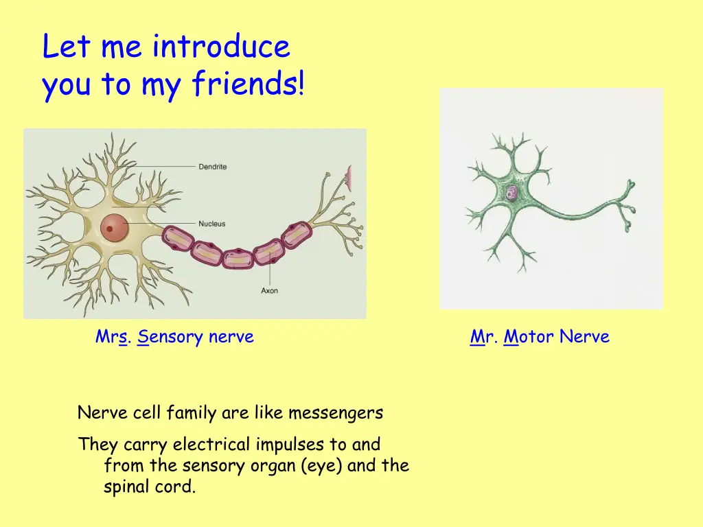 let me introduce you to my friends