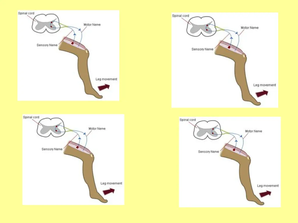 slide14