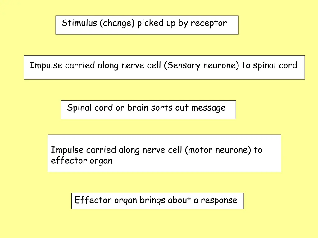 stimulus change picked up by receptor