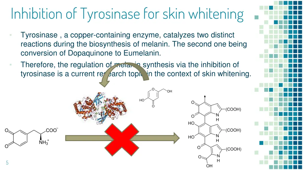 inhibition of tyrosinase for skin whitening