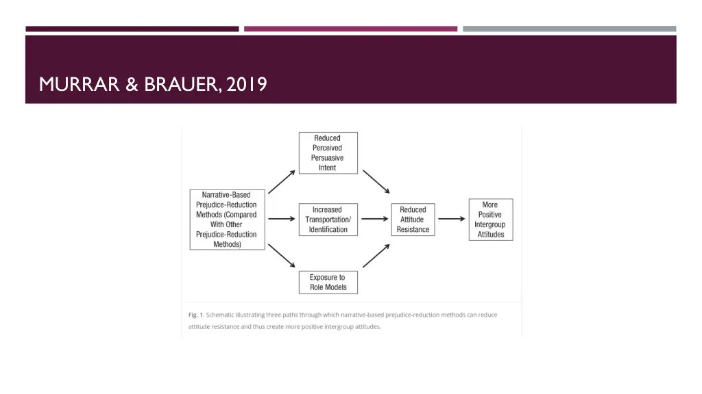 murrar brauer 2019