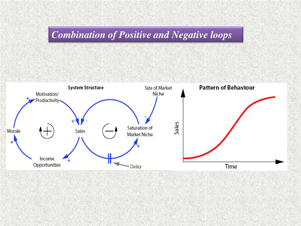 combination of positive and negative loops
