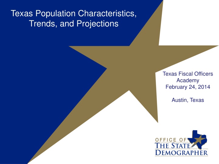 texas population characteristics trends