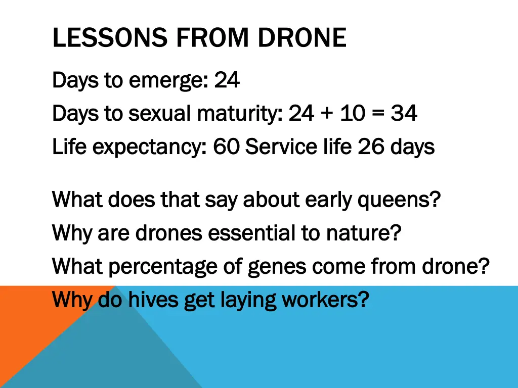 lessons from drone
