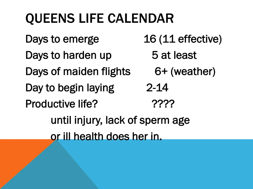 queens life calendar