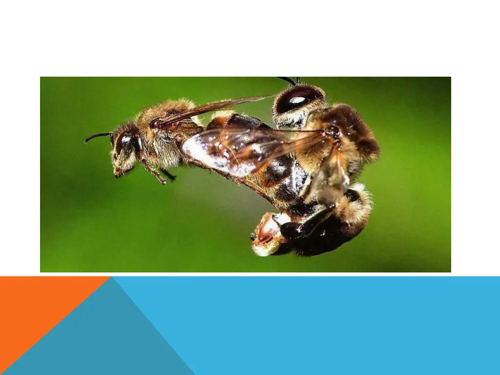slide10