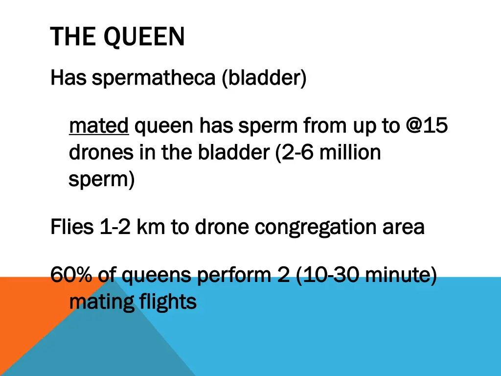 the queen
