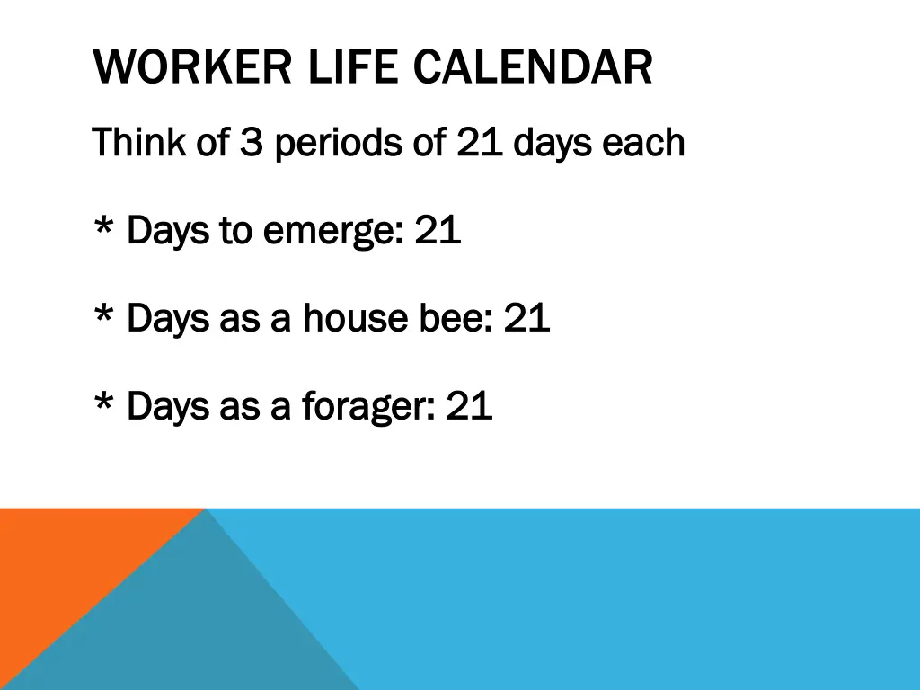 worker life calendar