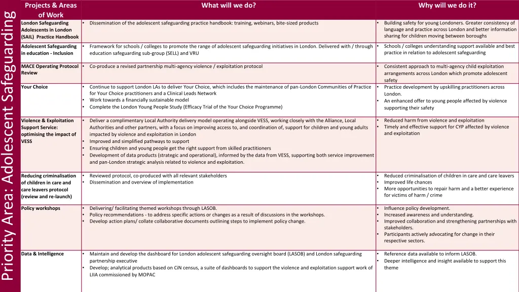 projects areas of work london safeguarding