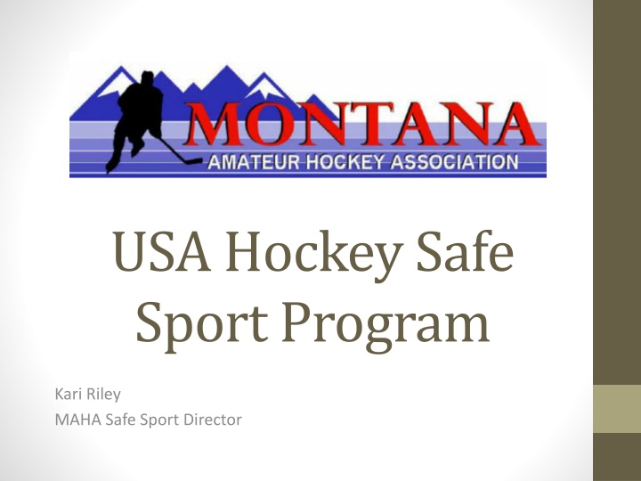 usa hockey safe sport program