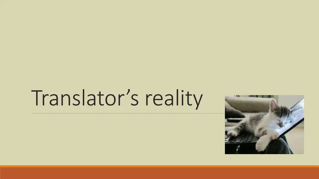 translator s reality