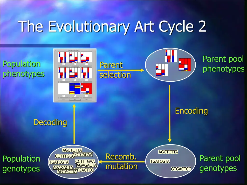 the evolutionary art cycle 2