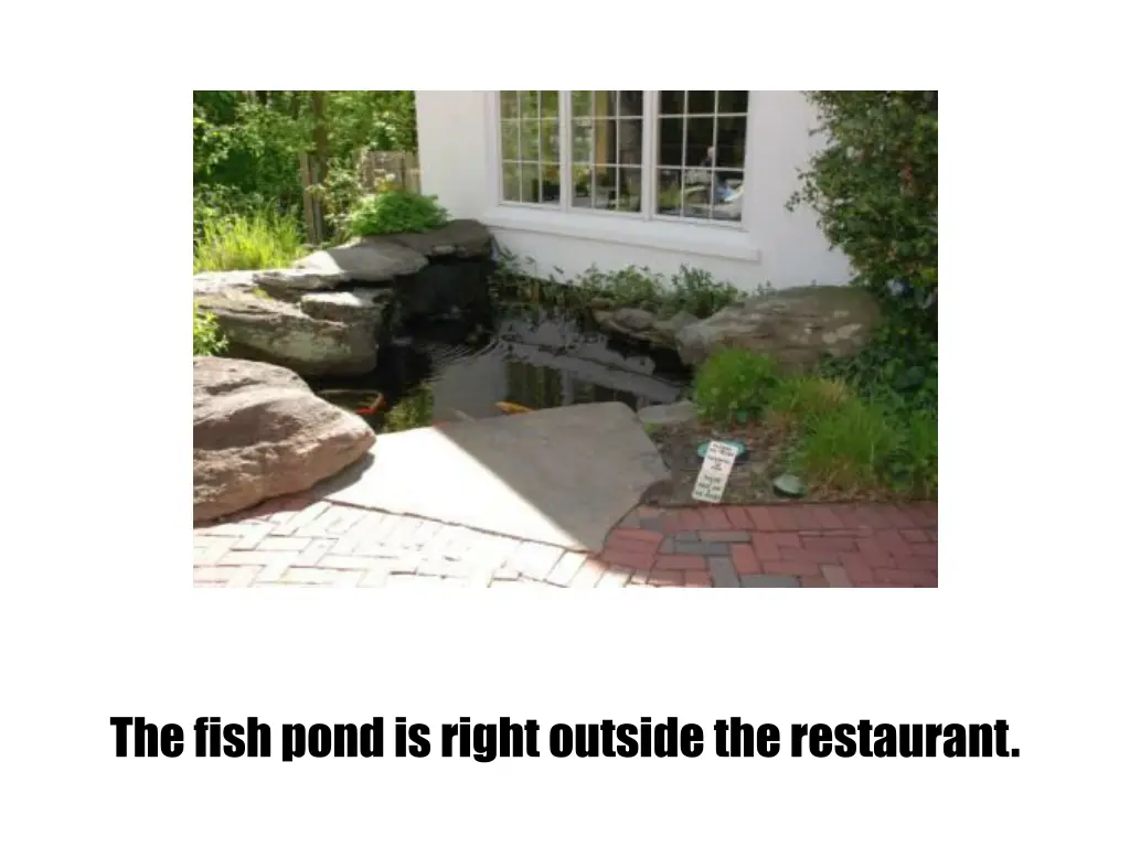 the fish pond is right outside the restaurant
