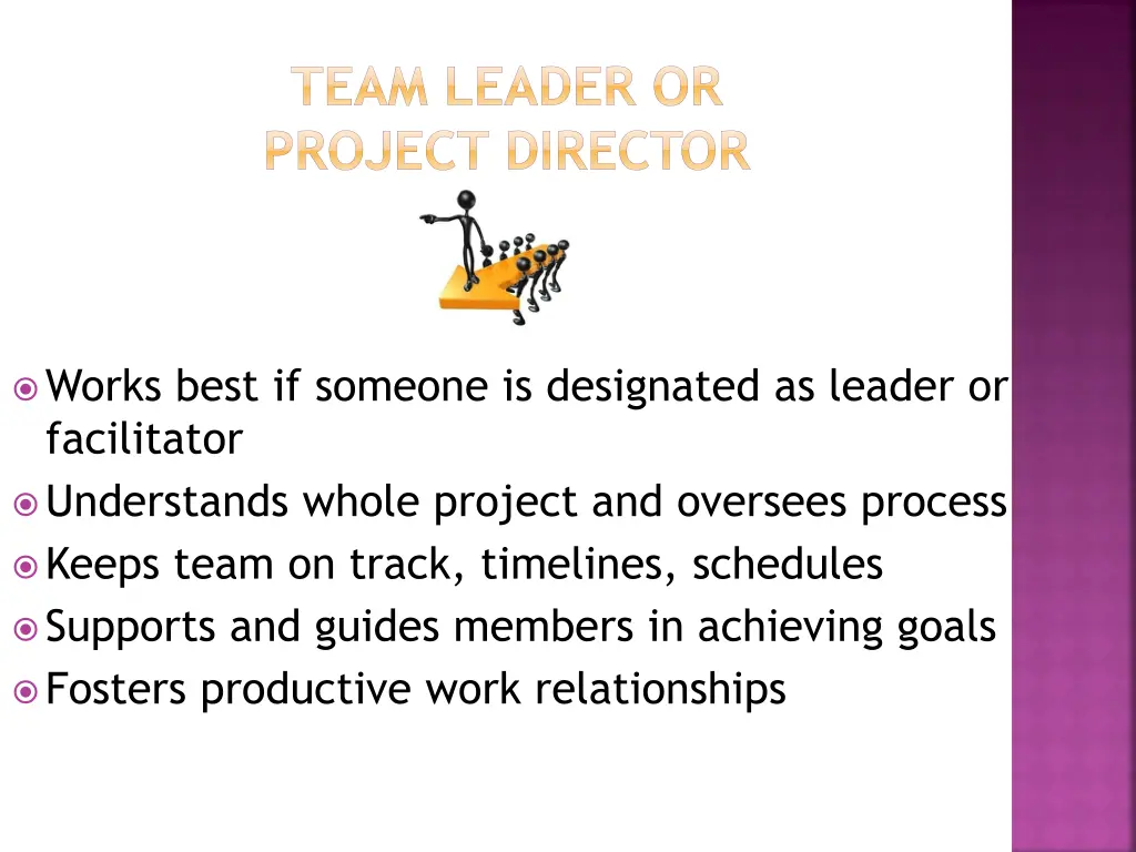 team leader or project director