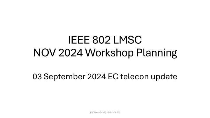 ieee 802 lmsc nov 2024 workshop planning