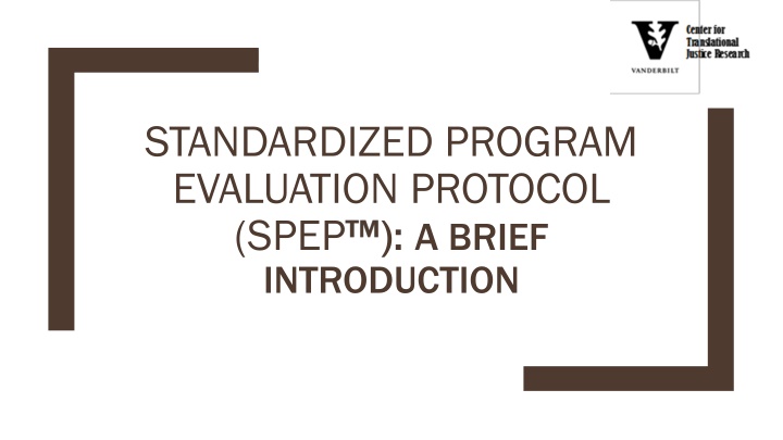 standardized program evaluation protocol spep