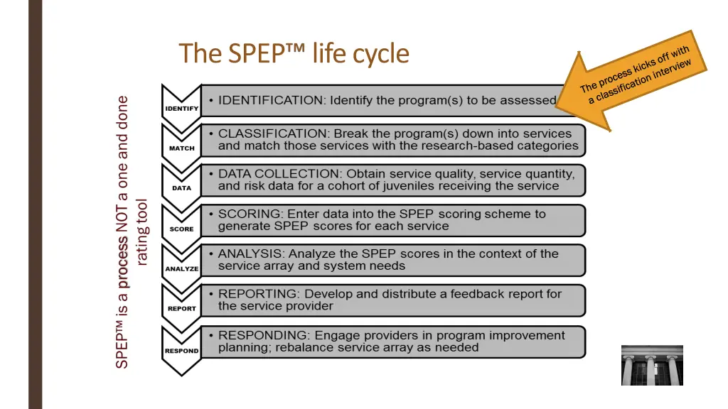 the spep life cycle